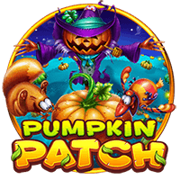 Pumpkin patch