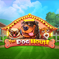 RTP The Dog House