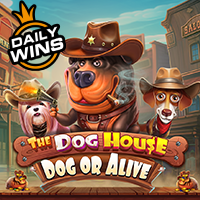 RTP Live The Dog House – Dog or Alive