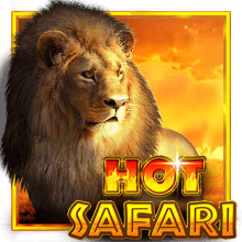 RTP Hot Safari