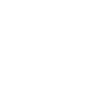 NET ENT